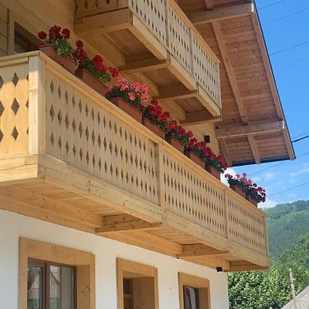 فندق Anahouse Vişeu de Sus المظهر الخارجي الصورة