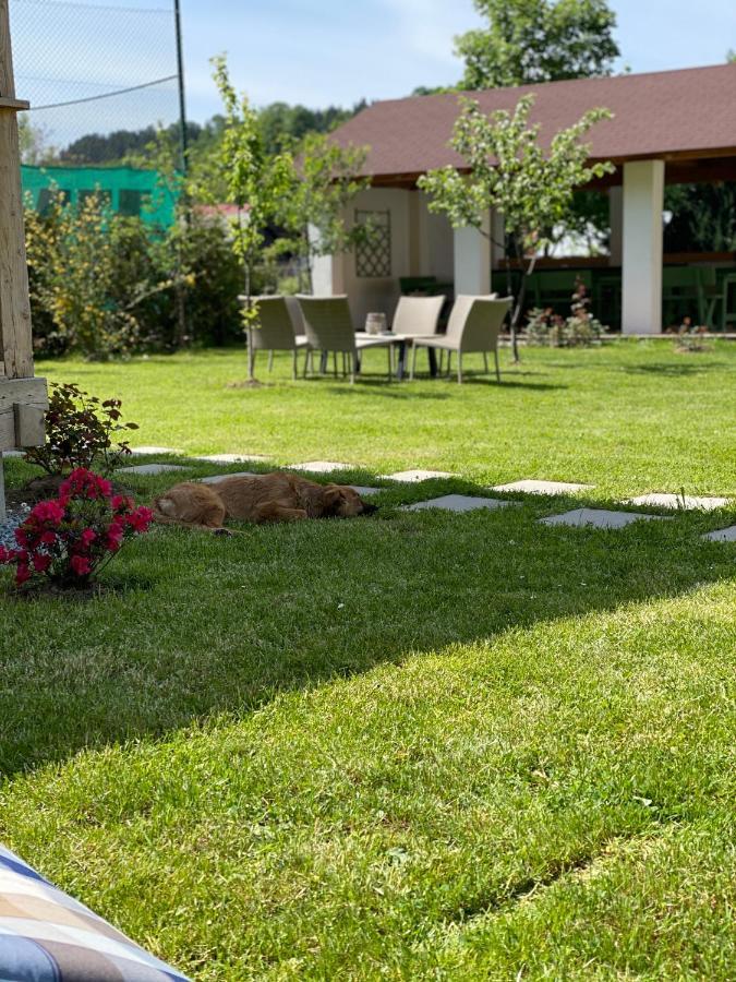 فندق Anahouse Vişeu de Sus المظهر الخارجي الصورة