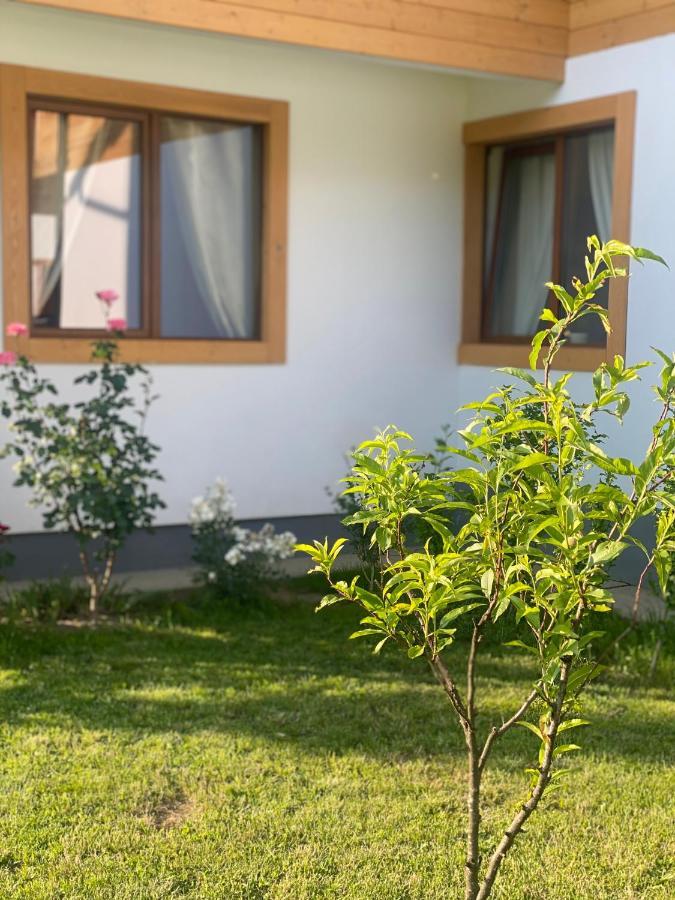 فندق Anahouse Vişeu de Sus المظهر الخارجي الصورة