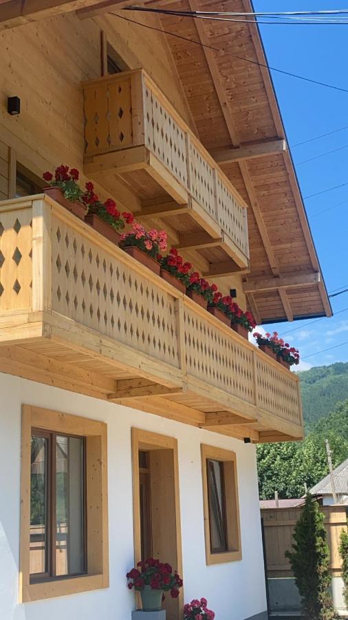 فندق Anahouse Vişeu de Sus المظهر الخارجي الصورة